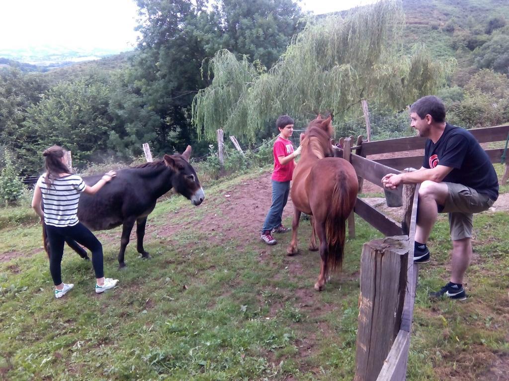 Casa Rural Haitzetxea Zugarramurdi Buitenkant foto