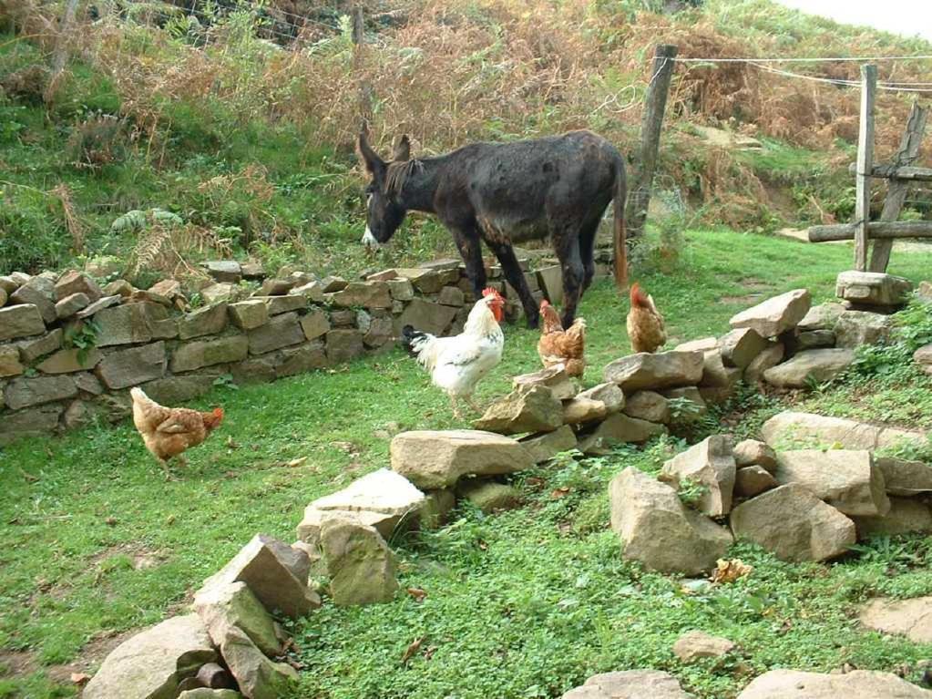 Casa Rural Haitzetxea Zugarramurdi Buitenkant foto