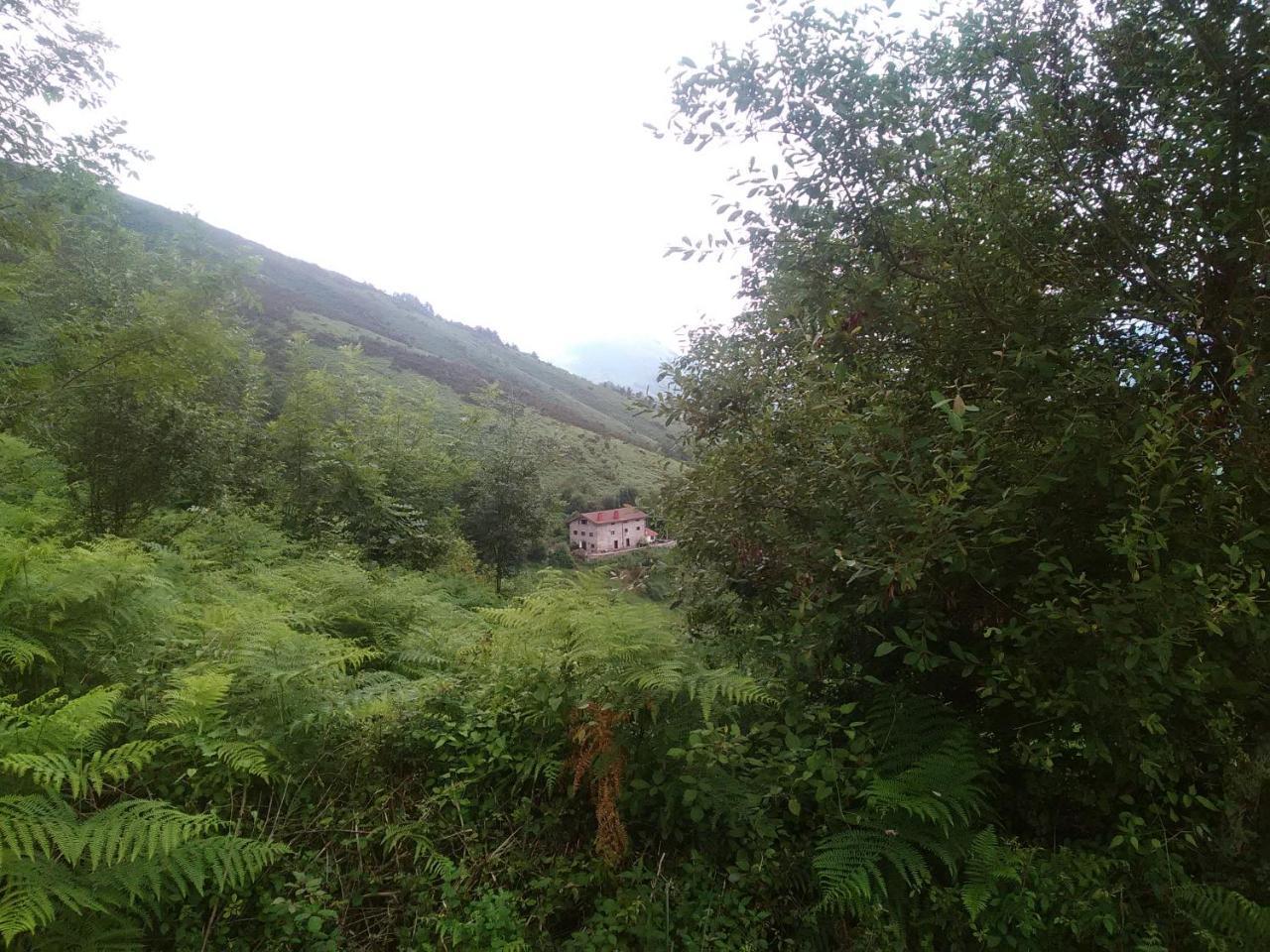 Casa Rural Haitzetxea Zugarramurdi Buitenkant foto